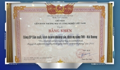 TNV HẢI DƯƠNG VINH DỰ NHẬN GIẢI THƯỞNG VCCI 