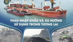 THAN NHẬP KHẨU VÀ XU HƯỚNG SỬ DỤNG TRONG TƯƠNG LAI – TNV HẢI DƯƠNG BẮT NHỊP XU THẾ MỚI